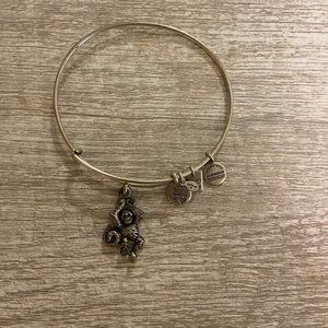 Alex and Ani Charm Bracelet